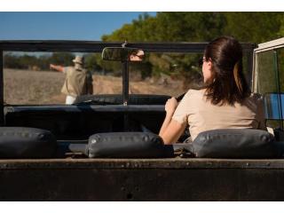 High-End Safari Tours In Kenya For Exceptional Wildlife And Private Travel