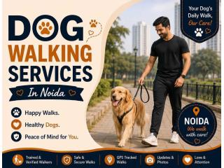 Dog Walking Services