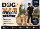Dog Walking Services