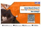 Gaushala Near Me | Gokuldham Mahatirth Cow Shelter