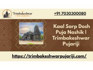 Kaal Sarp Dosh Puja Nashik | Trimbakeshwar Pujariji