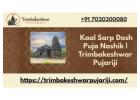  Kaal Sarp Dosh Puja Nashik | Trimbakeshwar Pujariji