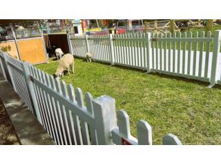Event Temporary Fence Solutions for Secure Event Sites