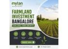 Farmland Investment Bangalore for Long-Term Growth