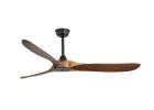 Decorative Designer Ceiling Fan