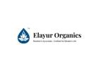 Holistic Wellness Products for Everyday Health and Balance