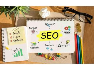 Best SEO Company in Ahmedabad – Moving Brain