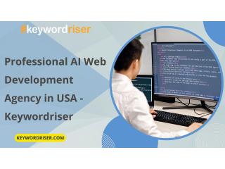 Professional AI Web Development Agency in USA - Keywordriser