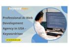 Professional AI Web Development Agency in USA - Keywordriser