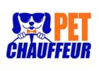 Going Overseas With Your Furry Friend? We’ll Make the Journey Easy!