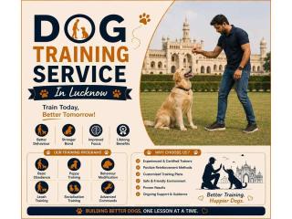 Dog Training Service