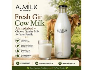 Fresh Gir Cow Milk Ahmedabad – Choose Quality Milk for Your Family