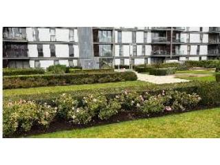 Gardening Maintenance Service in Milton Keynes
