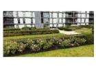 Gardening Maintenance Service in Milton Keynes