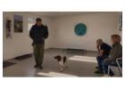 Professional Reactive Dog Training in Wirral Area