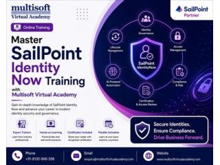 Master Sailpoint Identity Now Training with Multisoft Virtual Academy