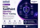 Master Sailpoint Identity Now Training with Multisoft Virtual Academy