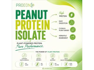 Peanut Protein Isolate That Packs 80% Protein: Meet PROEON PEANUT80