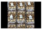 Find Custom Cookies & Most Popular Cookie Designs | Jersey Cookie Girl 