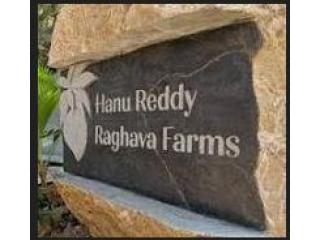 Lawn Wedding Venues in Chennai