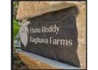 Lawn Wedding Venues in Chennai