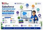Salesforce Administrator Certification Training in india