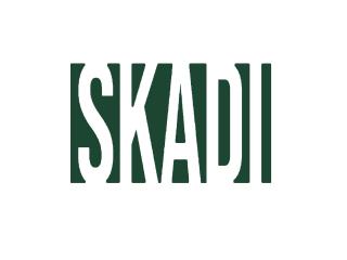 Skadi - AI Call Center Voice Agent & Automation