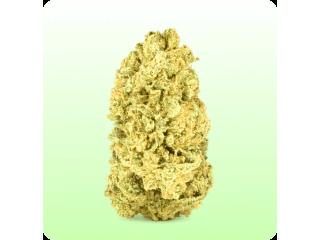 Apple Scotti
