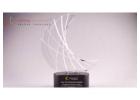 Custom Crystal Trophy for Every Special Occasion