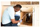 Pest Control Calgary Services for Safe Pest Removal