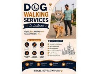 Dog Walking Services