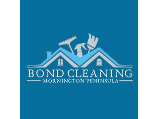 Professional Carpet Cleaners for Fresh, Clean Carpets