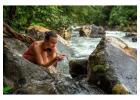 Tambopata Jungle Tour 3 Days – Explore the Amazon with Experts