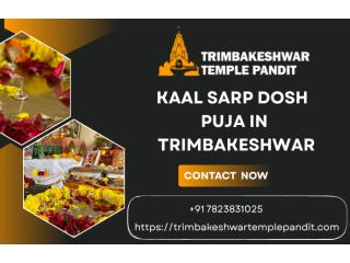 Find A Trusted Pandit For Kaal Sarp Puja In Trimbakeshwar