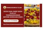 Book Kaal Sarp Dosh Puja At Trimbakeshwar Before Shravan Ends			
