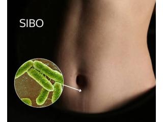 Small Intestinal Bacterial Overgrowth: Symptoms to Know