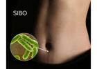 Small Intestinal Bacterial Overgrowth: Symptoms to Know