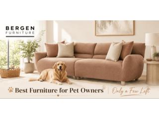 Best Furniture for Pet Owners | Only a Few Left