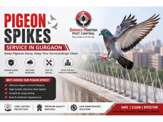 Smart Pigeon Spikes Service in Gurgaon to Stop Nesting and Bird Nuisance
