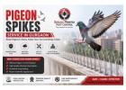 Smart Pigeon Spikes Service in Gurgaon to Stop Nesting and Bird Nuisance
