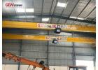 Powerful EOT Cranes Manufacturer - GEW CRANES