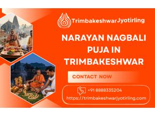 Special Narayan Nagbali Puja Services At Trimbakeshwar