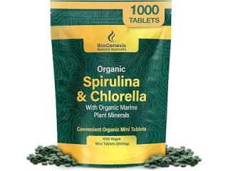 Healthy Living with Spirulina Organic Powder Today