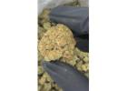 Biscotti Candy THCA Flower | Premium Hybrid Strain
