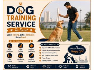 Dog Training Service