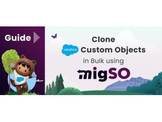 Clone Salesforce Objects- MigSO