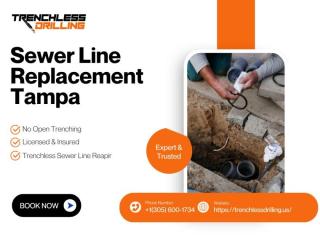 Trenchless Sewer Line Replacement Tampa — Protect Your Yard