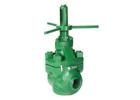 Gate Valve Repair Kit Timing on DM-Style Mud Valves