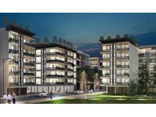 Are you looking for a 3 BHK? Ultima 107, Noida