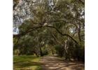 Best Land For Sale Thornhill Park